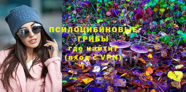 шишки Алексеевка